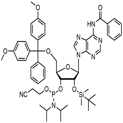N-bensoüül-5'-O-(4,4-dimetoksütritüül)-2'-O-[(tert-butüül)dimetüülsilüül]adenosiin-3'-(2-tsüanoetüül-N,N-diisopropüül)fosforamidiit